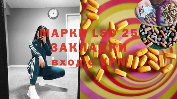 ГАЛЛЮЦИНОГЕННЫЕ ГРИБЫ Арсеньев