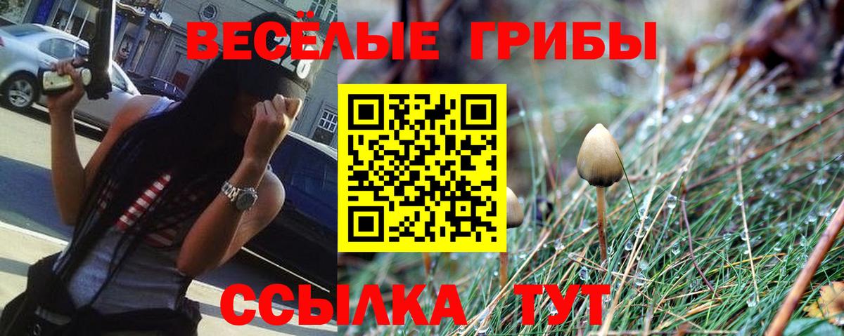 Галлюциногенные грибы Psilocybine cubensis  Галлюциногенные грибы Magic Shrooms  Вход с VPN  Нурлат 